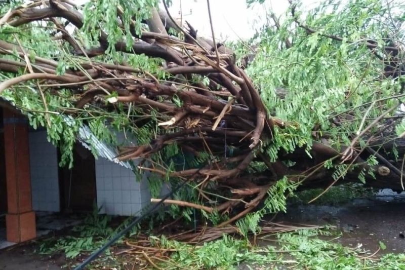 BPBD NTT terima laporan kerusakan akibat cuaca ekstrem