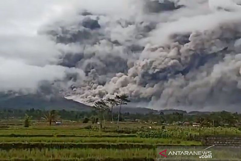 Pemprov Jawa Timur fokus pada evakuasi korban erupsi Gunung Semeru Pemprov Jawa Timur fokus pada evakuasi korban erupsi Gunung Semeru