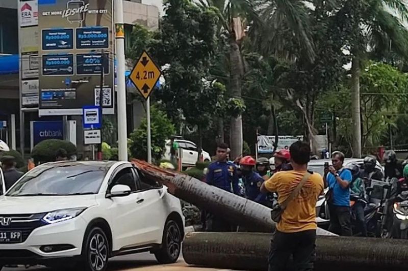 Pengendara motor meninggal akibat tertimpa pohon di Pondok Indah Pengendara motor meninggal akibat tertimpa pohon di Pondok Indah