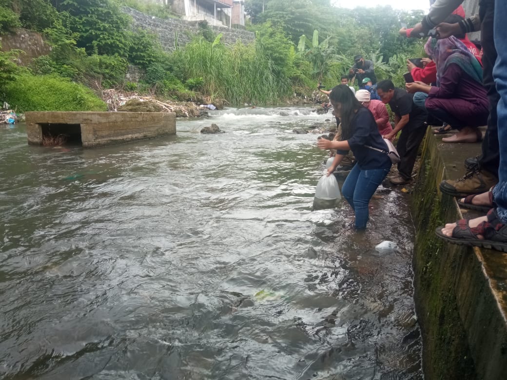 Tebar ribuan bibit ikan, DPRD DIY ajak masyarakat gemar makan ikan Tebar ribuan bibit ikan, DPRD DIY ajak masyarakat gemar makan ikan