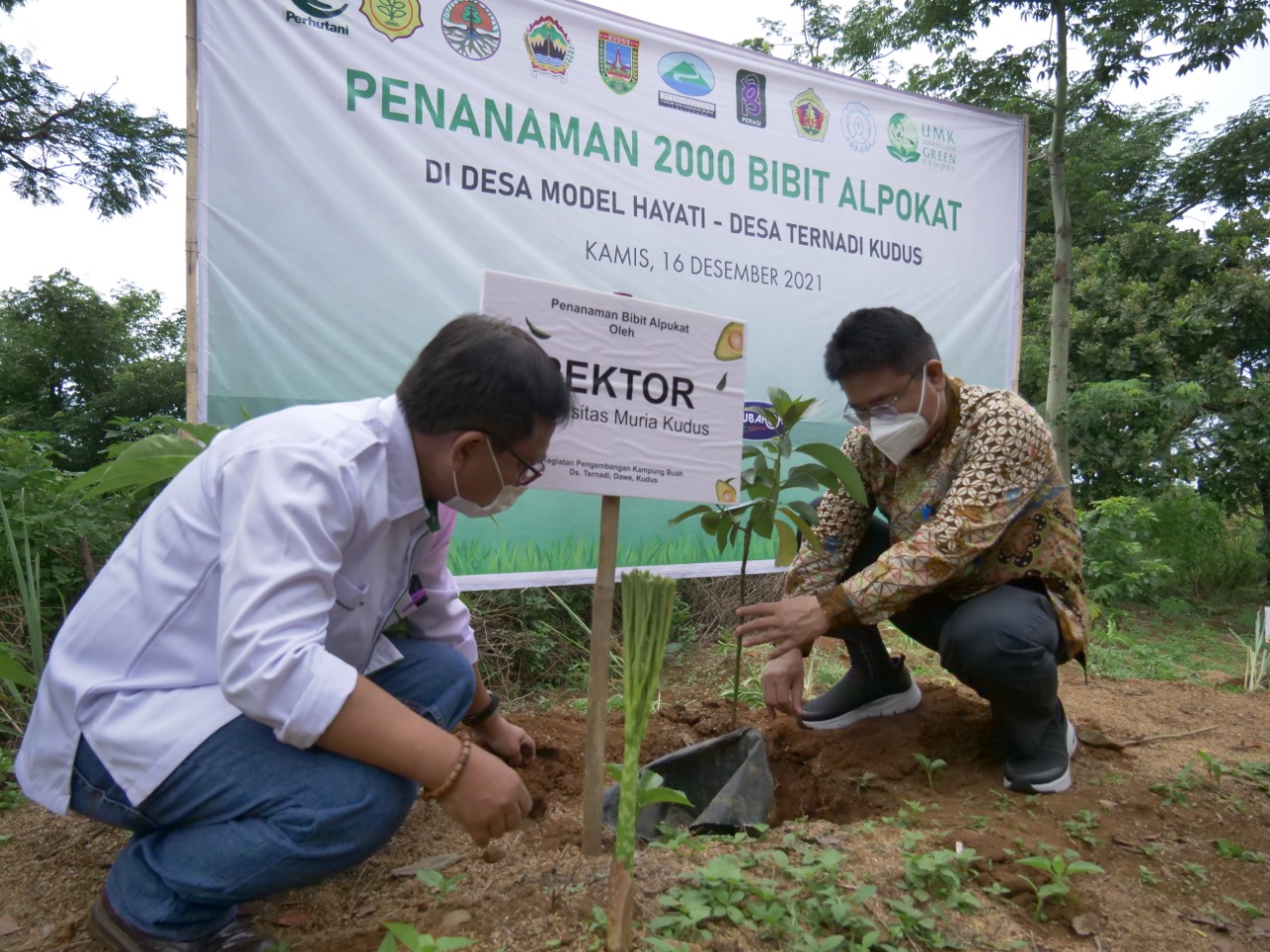 Ciptakan Desa Hayati, 2.000 bibit alpukat ditanam di kawasan Muria Desa Ternadi Ciptakan Desa Hayati, 2.000 bibit alpukat ditanam di kawasan Muria Desa Ternadi