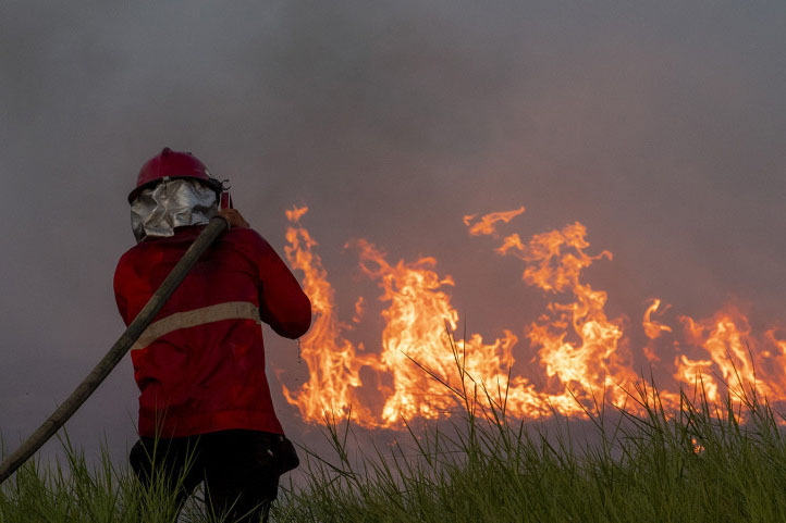 Areal hutan dan lahan yang terbakar bertambah luas pada 2021 Areal hutan dan lahan yang terbakar bertambah luas pada 2021