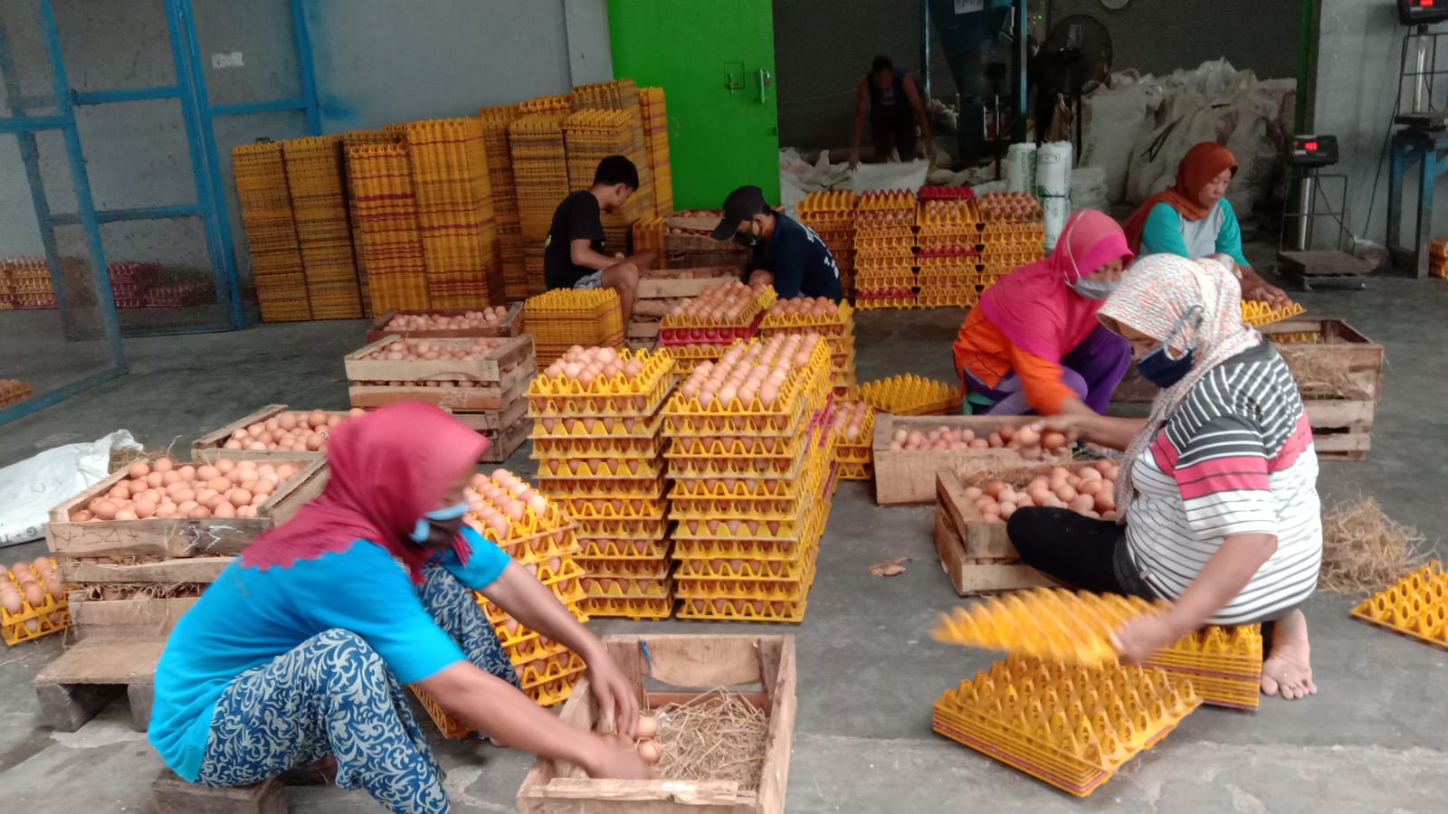 Jelang akhir tahun, harga telur ayam tingkat peternak tembus Rp29.000 per kilogram Jelang akhir tahun, harga telur ayam tingkat peternak tembus Rp29.000 per kilogram