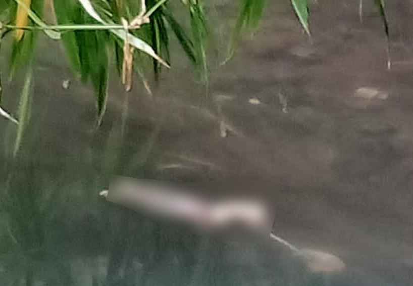 Mayat bayi mengambang di Sungai Kuthuk gegerkan warga Tanjungrejo, Malang Mayat bayi mengambang di Sungai Kuthuk gegerkan warga Tanjungrejo, Malang