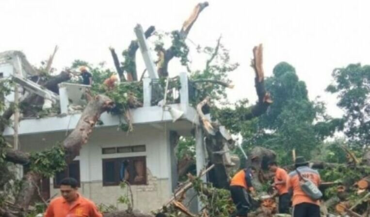BPBD Sampang terjunkan tim ke lokasi bencana angin kencang BPBD Sampang terjunkan tim ke lokasi bencana angin kencang