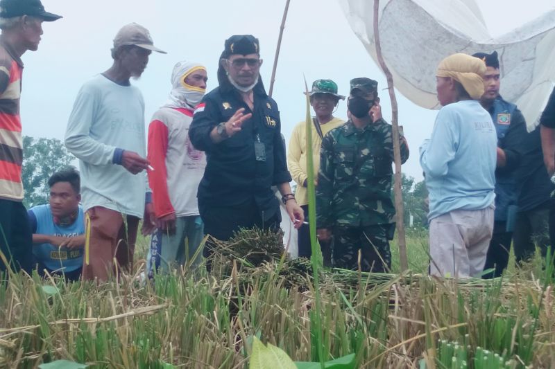 Mentan ajak petani Karawang terapkan tiga kali panen dalam setahun Mentan ajak petani Karawang terapkan tiga kali panen dalam setahun