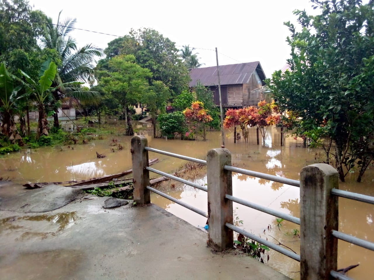 Puluhan rumah warga Ampeh Tanah Luas Aceh Utara diterjang banjir Puluhan rumah warga Ampeh Tanah Luas Aceh Utara diterjang banjir