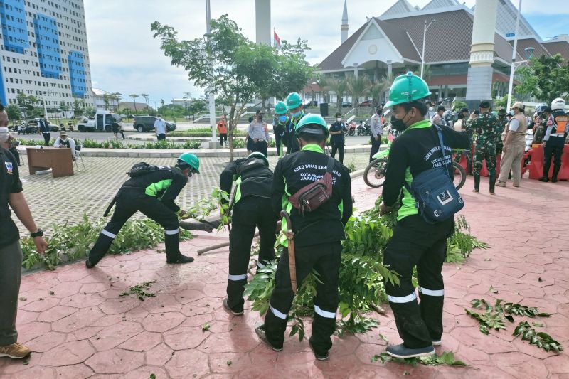 Pemkot Jakbar siagakan 230 personel tangani pohon tumbang Pemkot Jakbar siagakan 230 personel tangani pohon tumbang