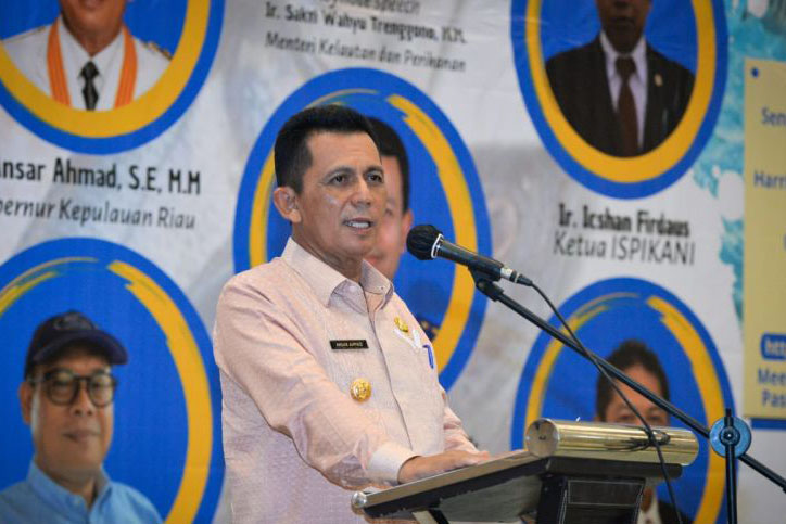 Gubernur Kepri antisipasi Pulau Karang Singa diklaim Malaysia