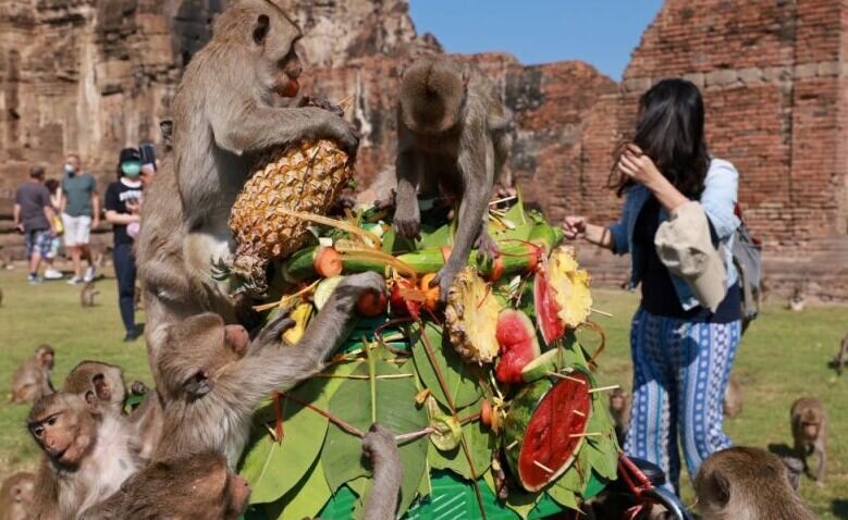 Turis datang kembali, Thailand gelar festival monyet lagi