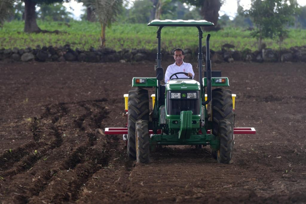 Presiden Jokowi tanam jagung pakai traktor Presiden Jokowi tanam jagung pakai traktor