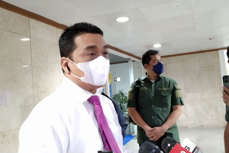 Pemprov DKI berencana perluas RTH di daerah penyangga