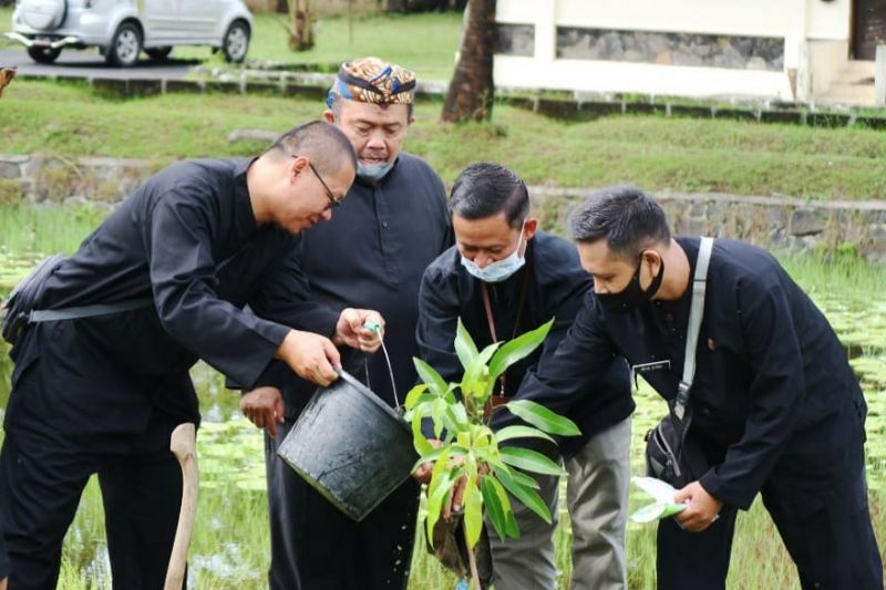 Sebanyak 40,6 juta pohon telah ditanam di lahan kritis Jabar Sebanyak 40,6 juta pohon telah ditanam di lahan kritis Jabar