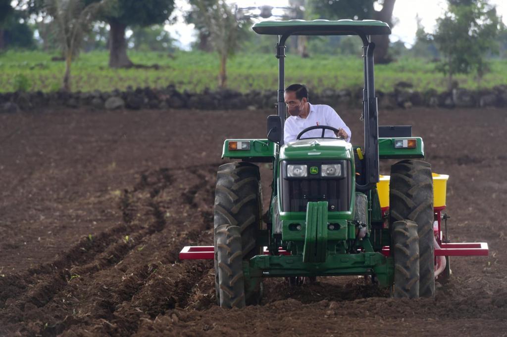 Presiden Jokowi berharap kebutuhan jagung Nasional tercukupi Presiden Jokowi berharap kebutuhan jagung Nasional tercukupi