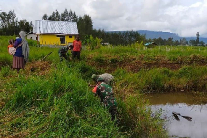 TNI bantu warga Deiyai Papua buat kolam ikan