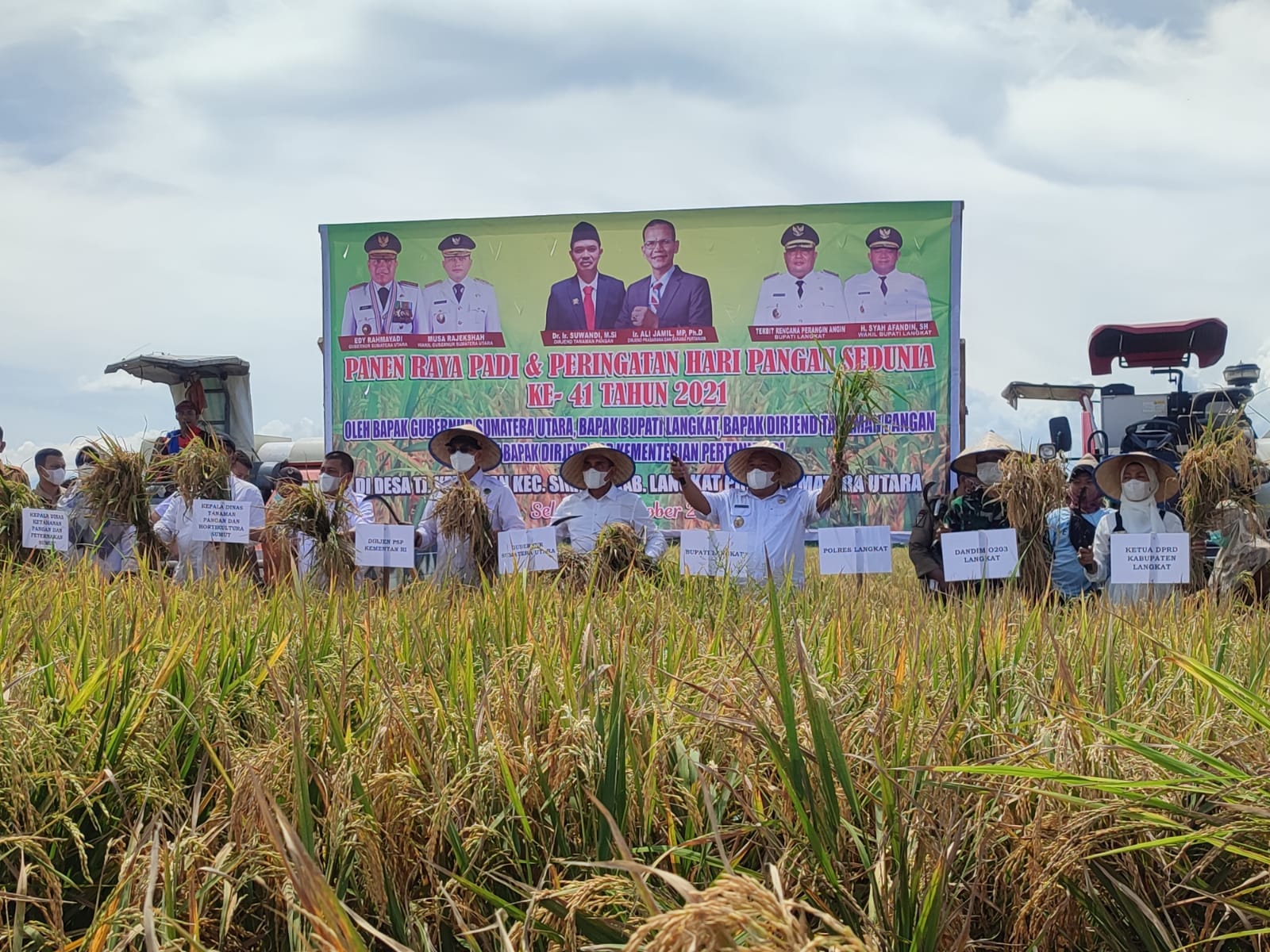 Gubernur Sumut hadiri panen raya padi di Langkat Gubernur Sumut hadiri panen raya padi di Langkat