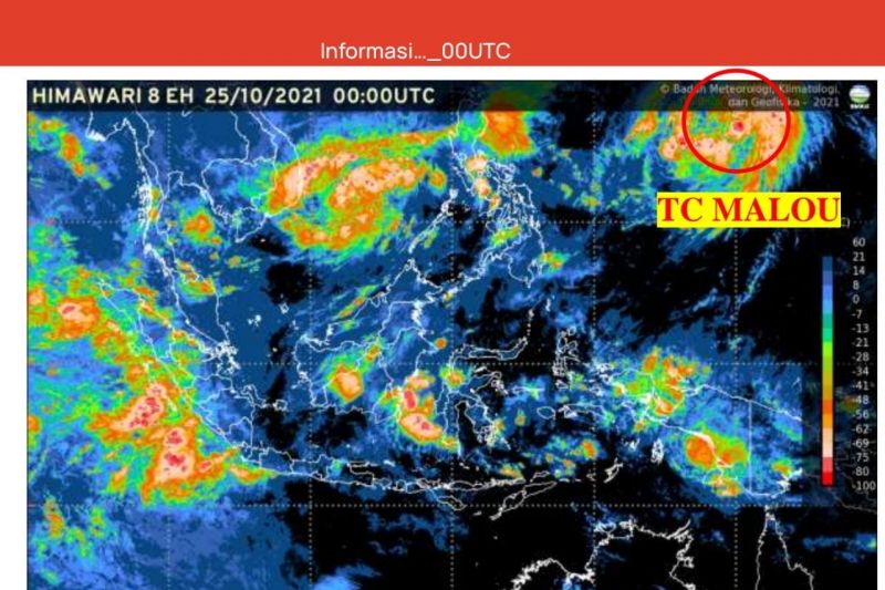 Intensitas Siklon Tropis Malou diperkirakan meningkat 24 jam ke depan Intensitas Siklon Tropis Malou diperkirakan meningkat 24 jam ke depan