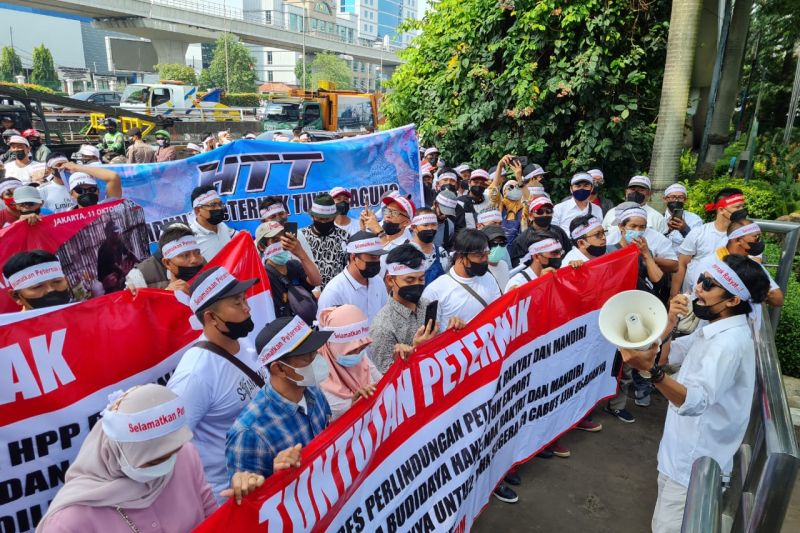 Peternak minta pemerintah serap telur seribu ton per hari