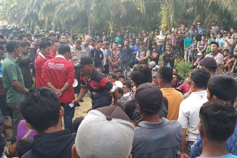 DPRD Riau bentuk pansus sengketa lahan perkebunan