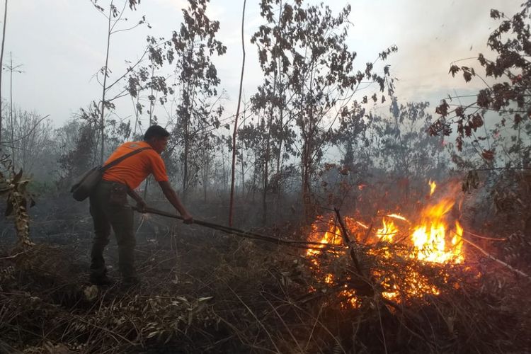 Cuaca kering dan berangin, BPBD Sukoharjo waspadai kebakaran kawasan hutan Cuaca kering dan berangin, BPBD Sukoharjo waspadai kebakaran kawasan hutan