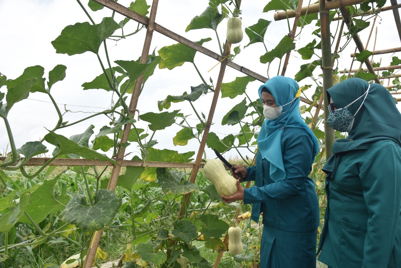 Penuhi kebutuhan dapur, Tim PKK Lumajang galakkan Pawon Urip Penuhi kebutuhan dapur, Tim PKK Lumajang galakkan Pawon Urip