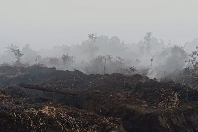 BPBA catat 126,21 hektare lahan terbakar di Aceh selama Oktober 2021 BPBA catat 126,21 hektare lahan terbakar di Aceh selama Oktober 2021