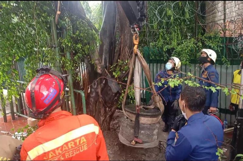 Gulkarmat Jaktim evakuasi batu peninggalan sejarah tahun 1700 Gulkarmat Jaktim evakuasi batu peninggalan sejarah tahun 1700
