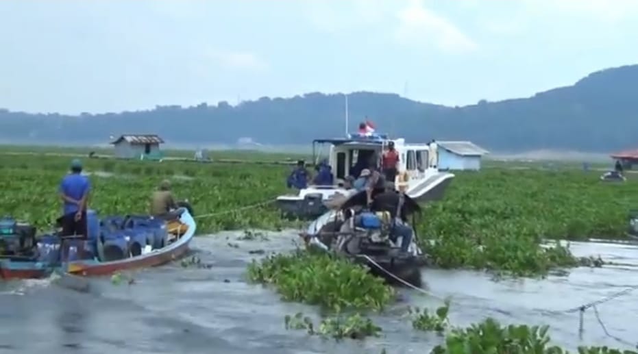 Perahu wisatawan dan warga terjebak eceng gondok di Waduk Jatiluhur berhasil dievakuasi