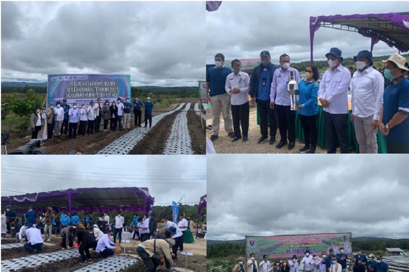 BMKG gelar sekolah lapang iklim dukung food estate di Humbahas