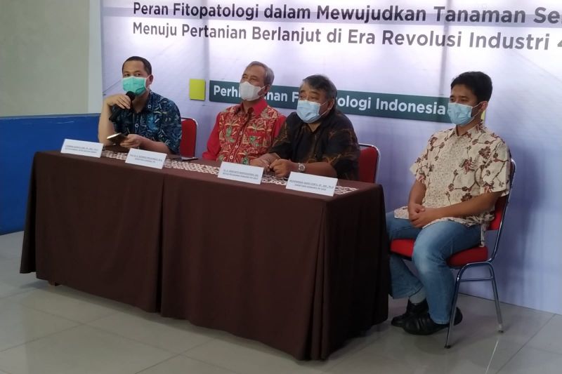 Sekjen PFI: Kerugian petani akibat penyakit tanaman bisa 35 persen Sekjen PFI: Kerugian petani akibat penyakit tanaman bisa 35 persen