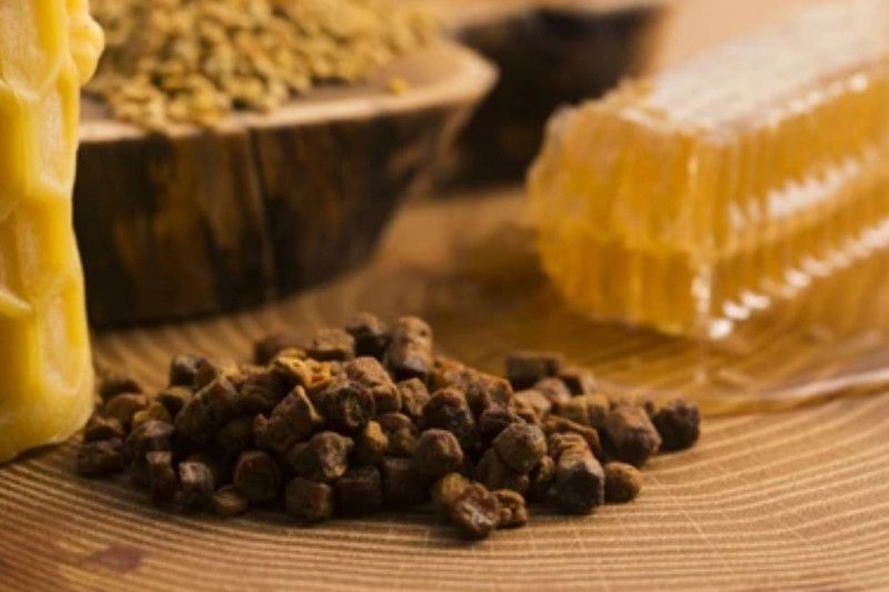 Mengenal propolis lebah, nutrisi dan manfaat bagi kesehatan Mengenal propolis lebah, nutrisi dan manfaat bagi kesehatan