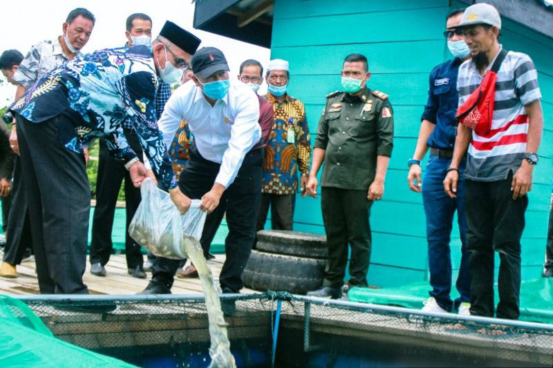 Pemkab Nagan Raya tebar 110 ribu bibit Ikan nila di Danau Laut Tadu