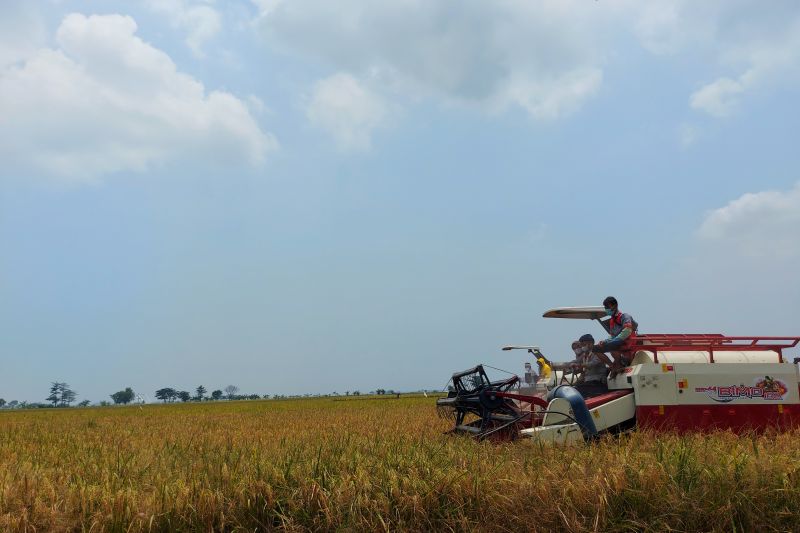 Mentan minta semua bersiap hadapi dampak pemanasan global Mentan minta semua bersiap hadapi dampak pemanasan global