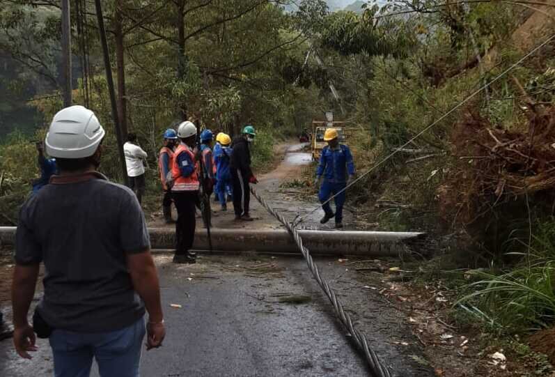 Gempa bumi Bali, PLN lakukan pemulihan cepat Gempa bumi Bali, PLN lakukan pemulihan cepat