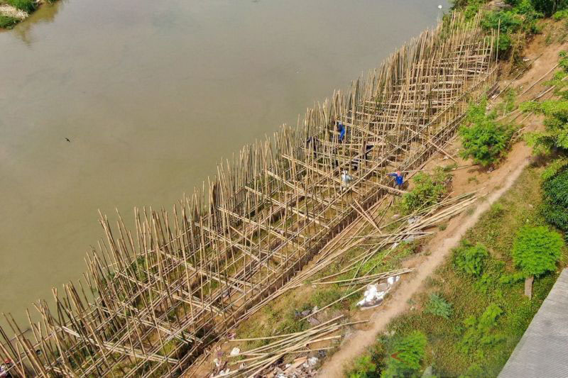 BPBD Bekasi tanam 3.000 bambu di tanggul kritis Cabangbungin