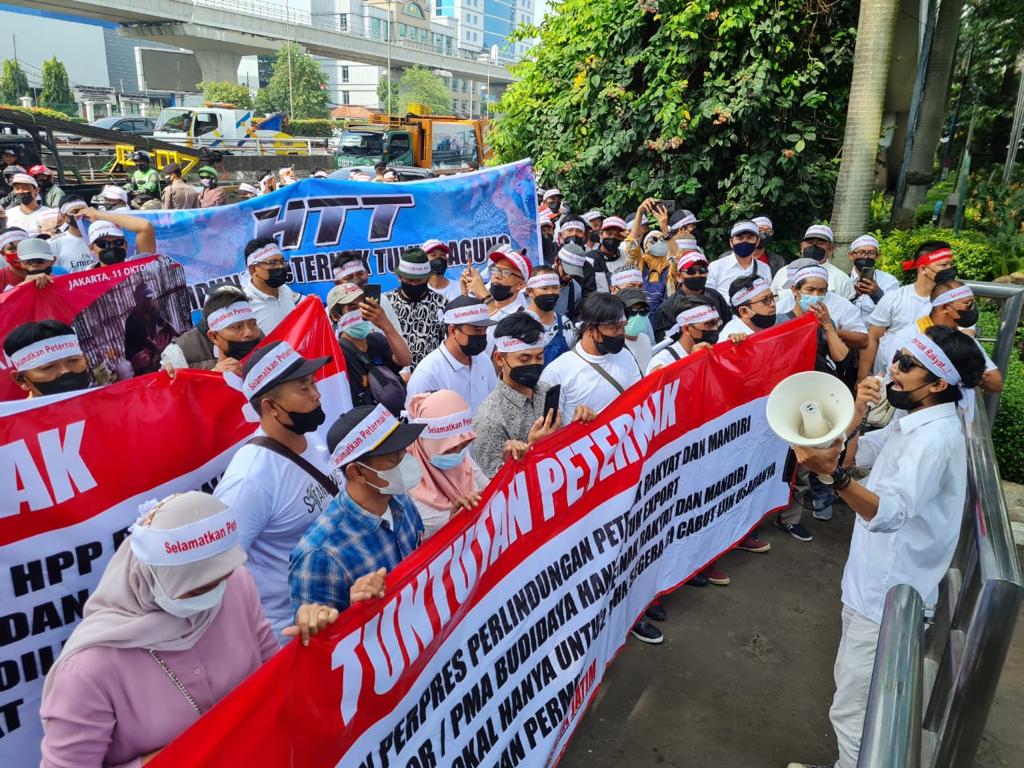 Gabungan peternak dan mahasiswa minta Jokowi benahi tata niaga ayam ras Gabungan peternak dan mahasiswa minta Jokowi benahi tata niaga ayam ras