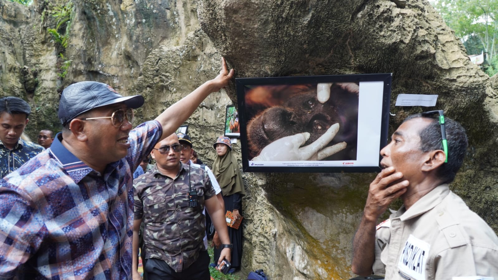 Populasi orang utan di Bukit Lawang berkurang, Pemkab Langkat perbaiki infrastruktur Populasi orang utan di Bukit Lawang berkurang, Pemkab Langkat perbaiki infrastruktur