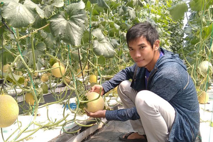 Petani di Kudus kembangkan melon dengan sistem hidroponik Petani di Kudus kembangkan melon dengan sistem hidroponik