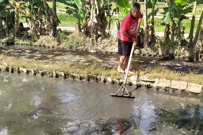 DKP Kulon Progo dampingi pembudidaya cacing sutra di Banjarharjo DKP Kulon Progo dampingi pembudidaya cacing sutra di Banjarharjo