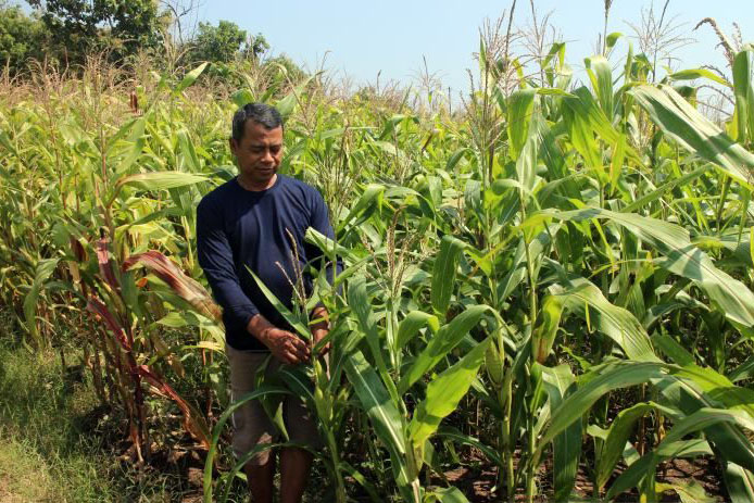 Menjaga ketahanan pangan desa dengan memanfaatkan lahan kosong Menjaga ketahanan pangan desa dengan memanfaatkan lahan kosong