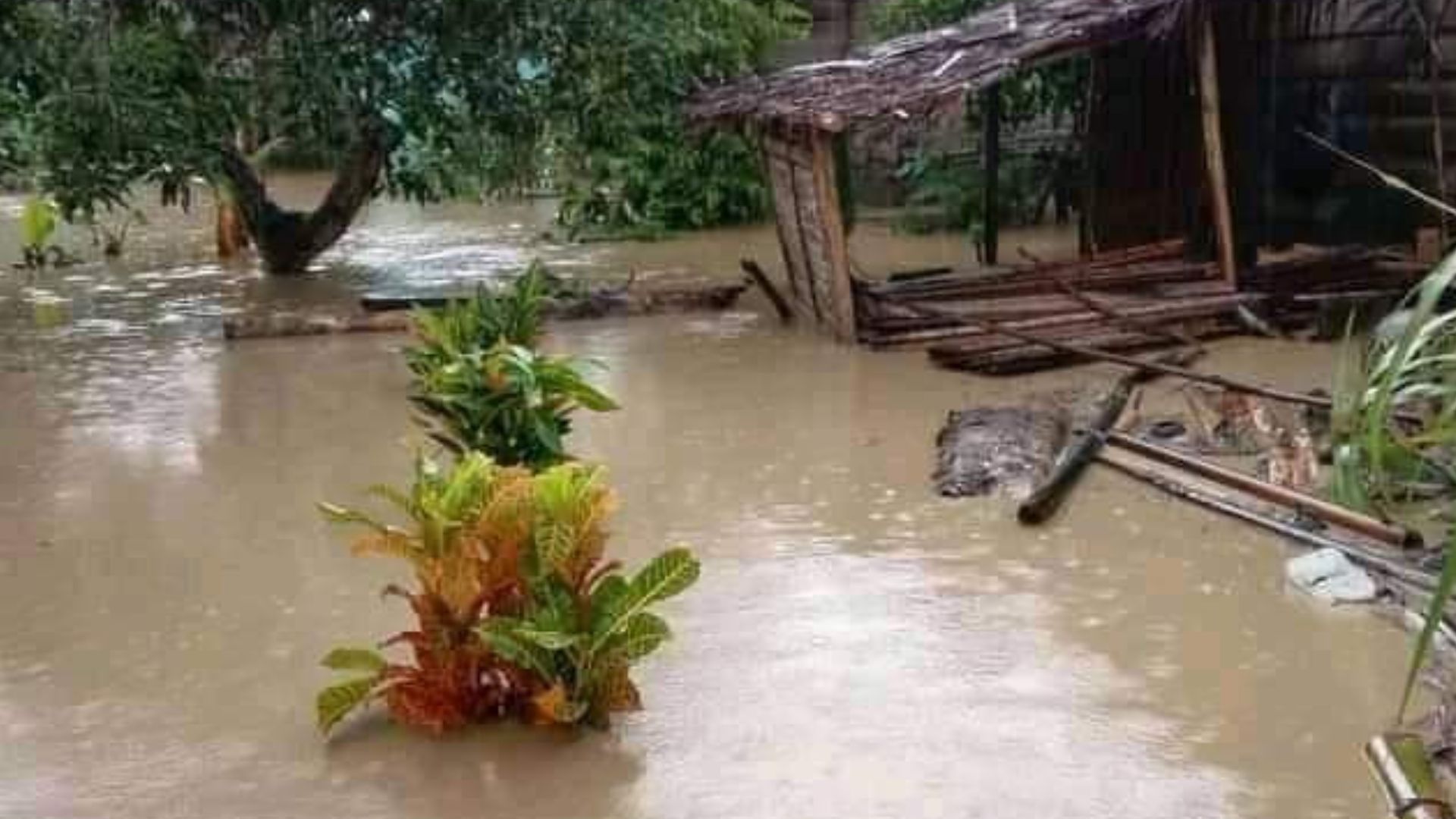 6 Agustus 2021: Empat desa di Seram dilanda banjir 6 Agustus 2021: Empat desa di Seram dilanda banjir