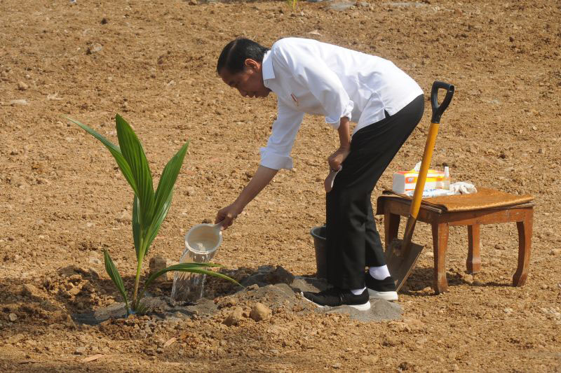 Indonesia terima penghargaan IRRI atas capaian swasembada beras Indonesia terima penghargaan IRRI atas capaian swasembada beras