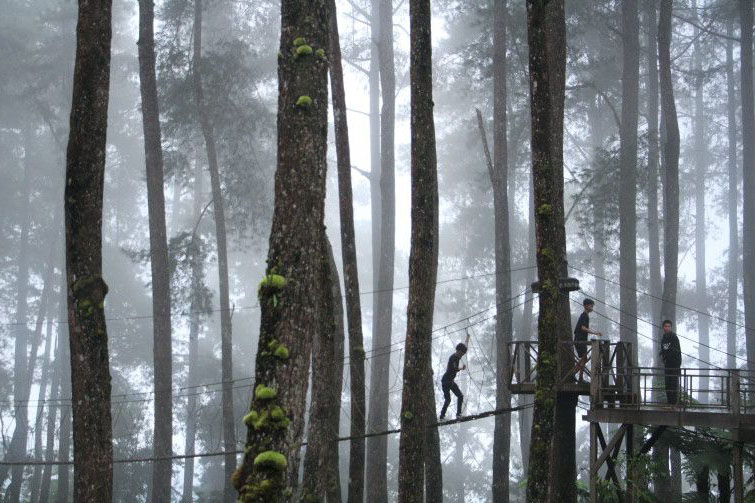 Belasan rekomendasi destinasi panorama indah di Indonesia Belasan rekomendasi destinasi panorama indah di Indonesia