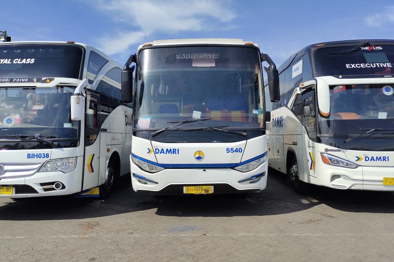 Penjualan tiket DAMRI Lampung naik signifikan jelang mudik