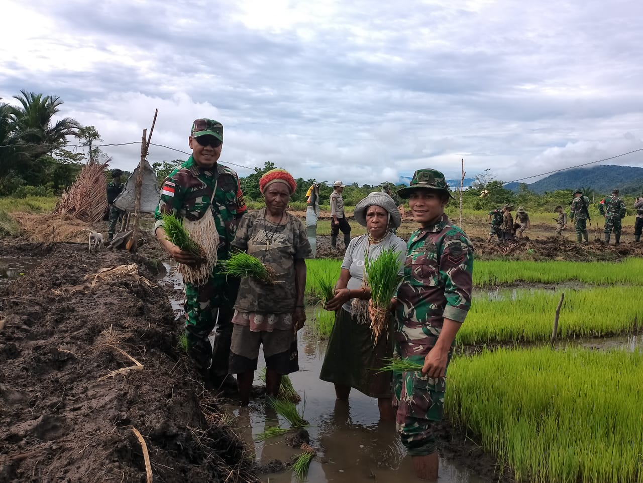 Dukung ketahanan pangan, Satgas Pamtas Yonif 126/KC bantu warga tanam padi di perbatasan Dukung ketahanan pangan, Satgas Pamtas Yonif 126/KC bantu warga tanam padi di perbatasan