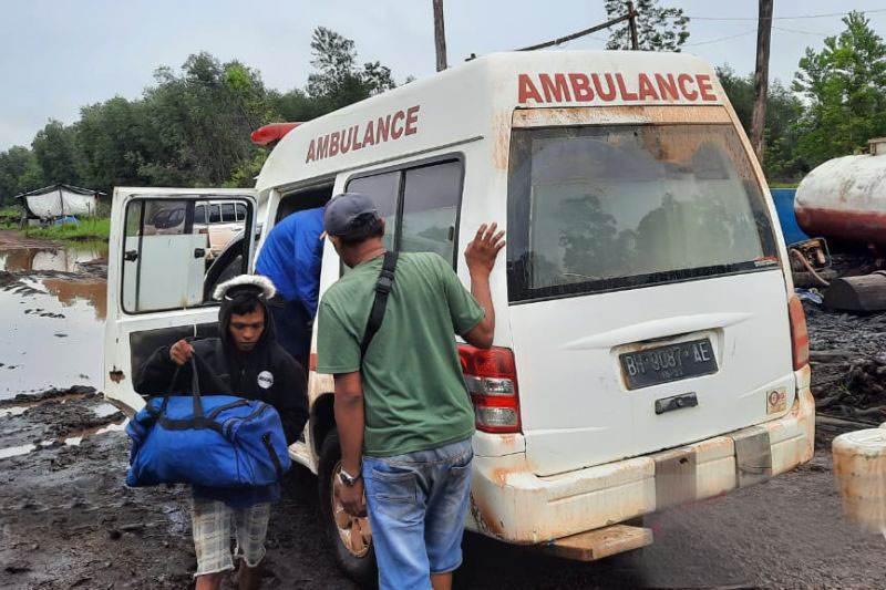 Seorang pekerja kembali tewas diterkam harimau di Muaro Jambi
