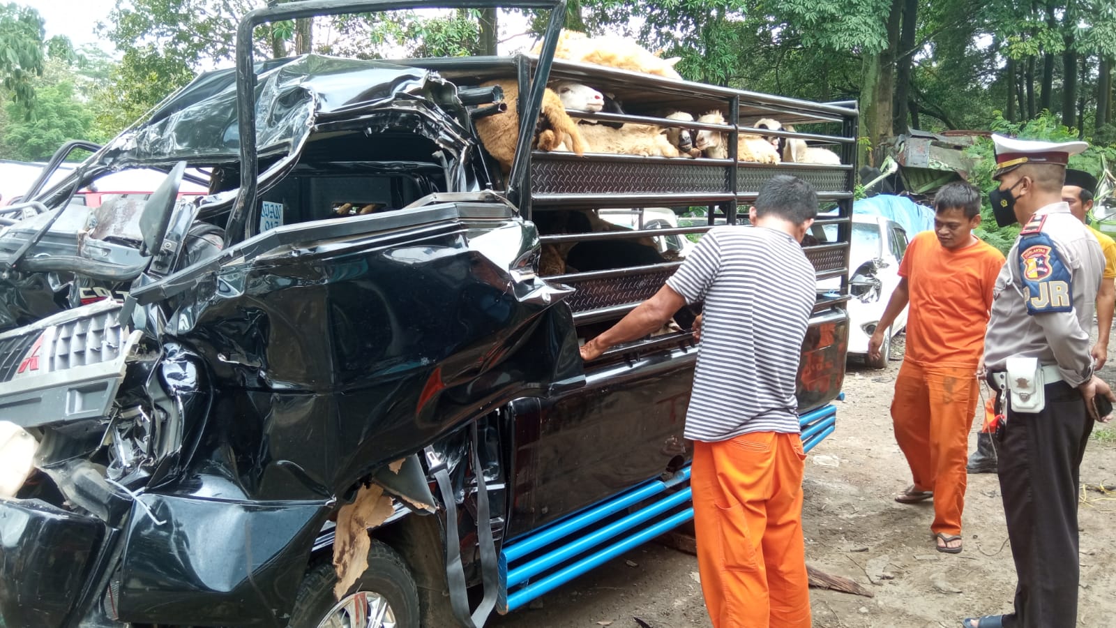 Pick up muatan kambing tabrak truk di Tol Cipularang, satu tewas Pick up muatan kambing tabrak truk di Tol Cipularang, satu tewas