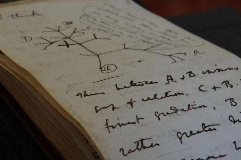 20 tahun dicuri, buku catatan ikonis Charles Darwin ditemukan