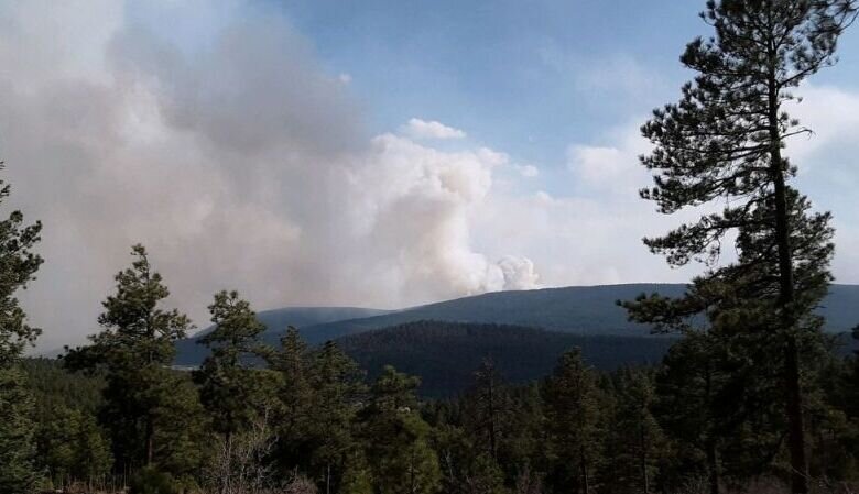 Kebakaran hutan terbesar AS di New Mexico, api dekati Las Vegas Kebakaran hutan terbesar AS di New Mexico, api dekati Las Vegas