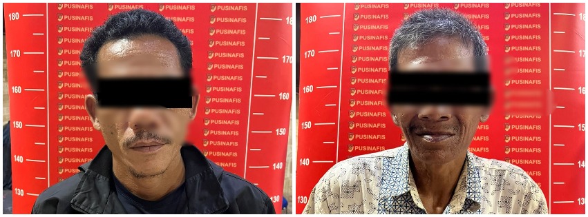 Dua tersangka pembunuhan Harimau Sumatera ditangkap Dua tersangka pembunuhan Harimau Sumatera ditangkap
